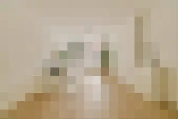 Snaarmanslaan 9 Alkmaar thumbnail 7