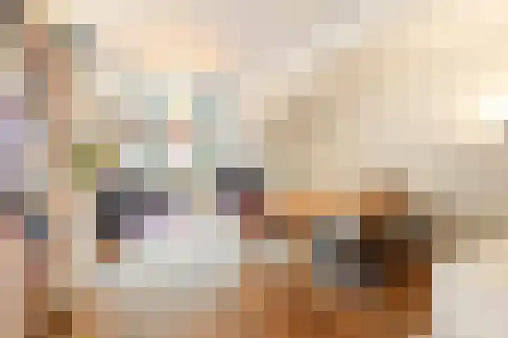 Snaarmanslaan 99 Alkmaar thumbnail 7