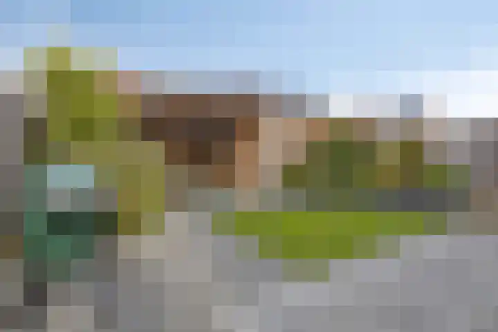 Snakenborg 26 Hengevelde thumbnail 36