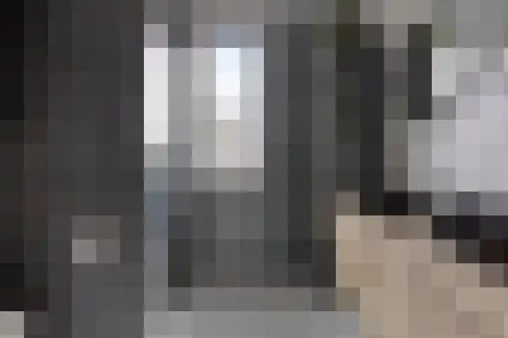 Snakenborg 26 Hengevelde thumbnail 5