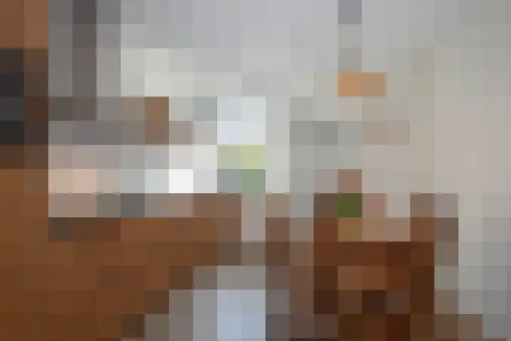 Snakenborg 5 Hengevelde thumbnail 11