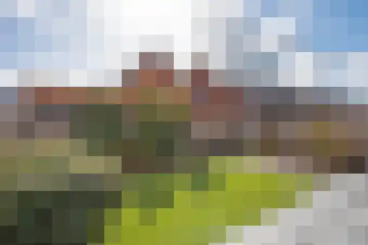 Snakenborg 5 Hengevelde thumbnail 33