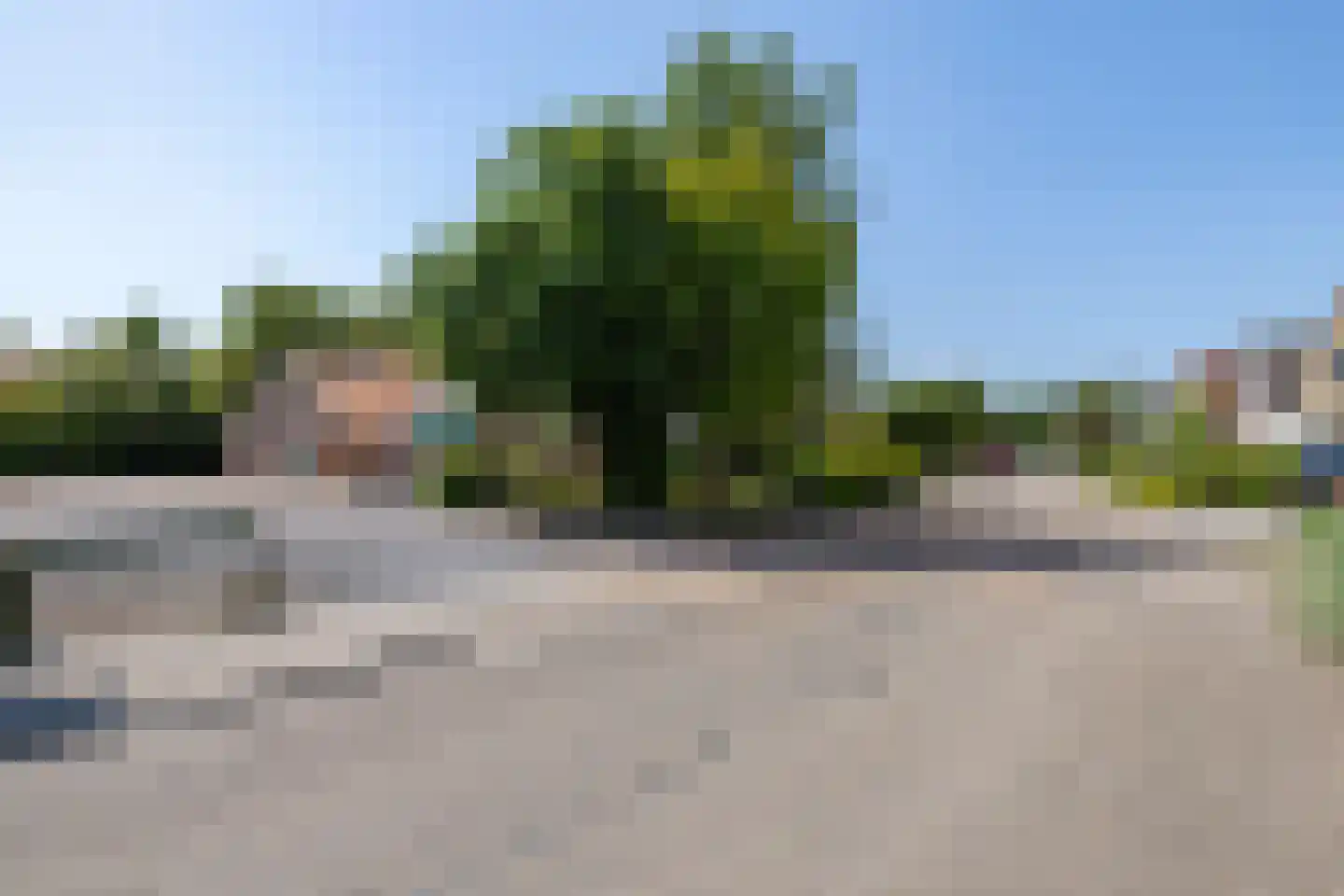 Snakke 9 Koudum thumbnail 11