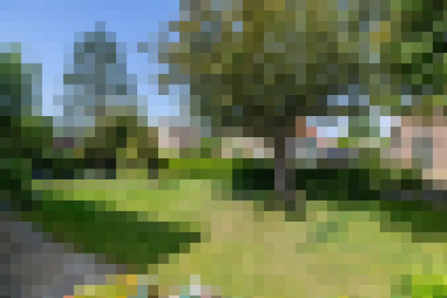 Snakke 9 Koudum thumbnail 12