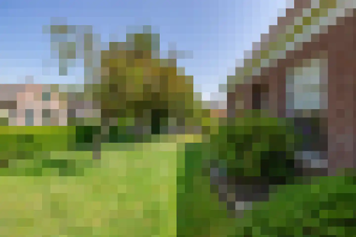 Snakke 9 Koudum thumbnail 13
