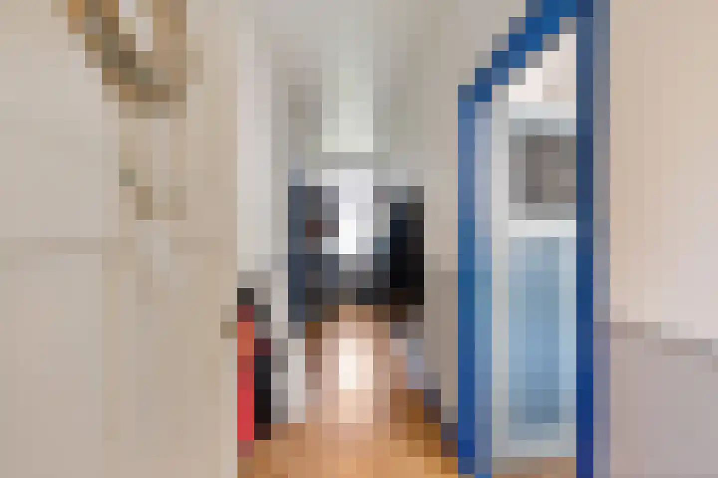 Snakke 9 Koudum thumbnail 14