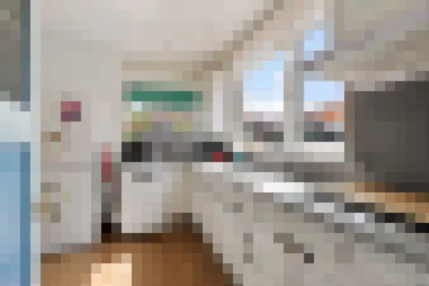 Snakke 9 Koudum thumbnail 15