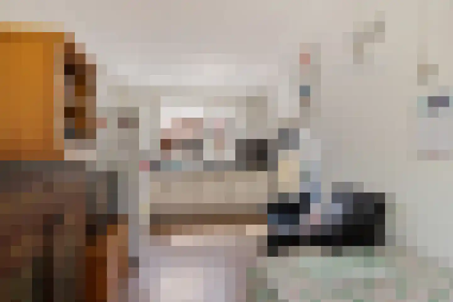 Snakke 9 Koudum thumbnail 16