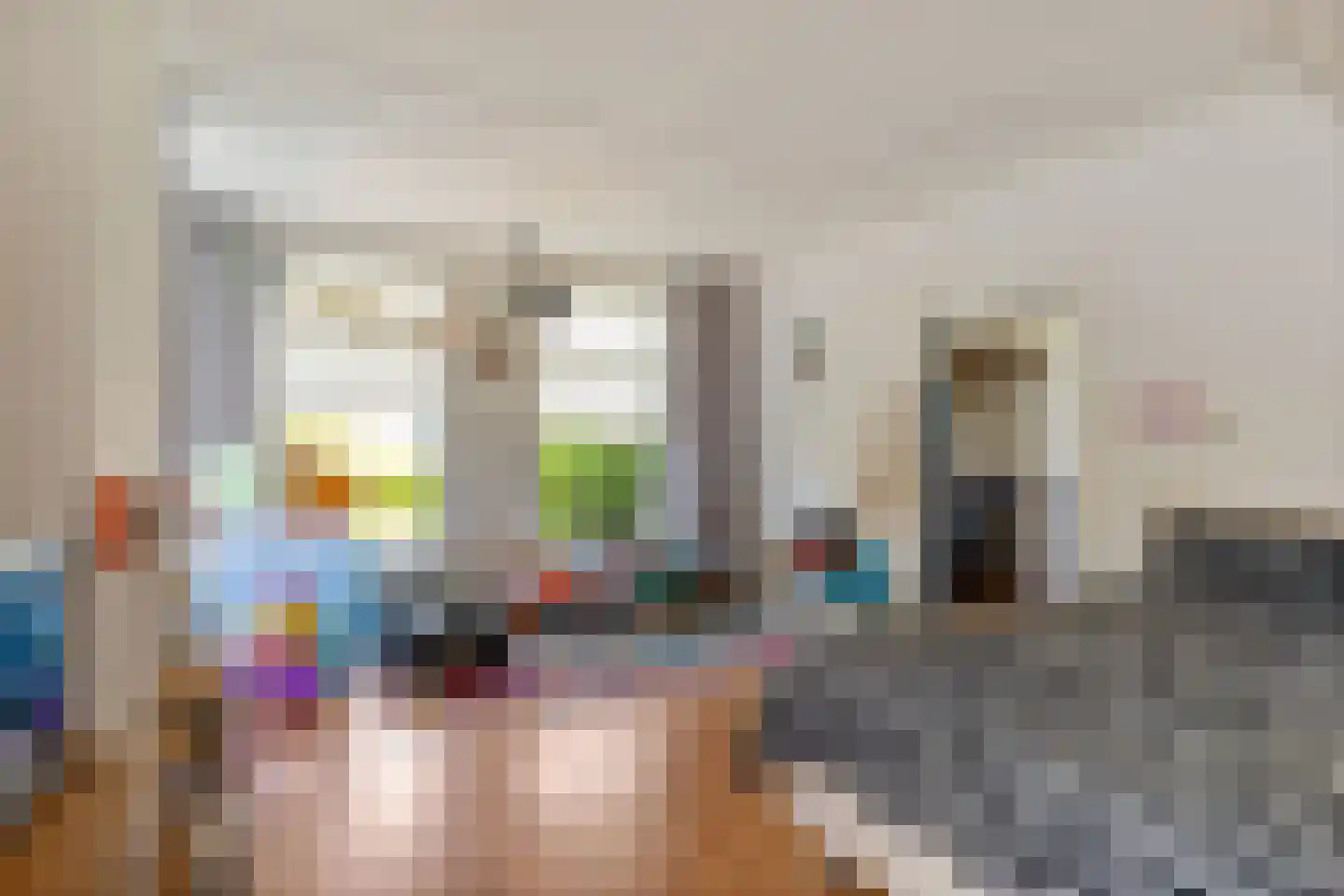 Snakke 9 Koudum thumbnail 17