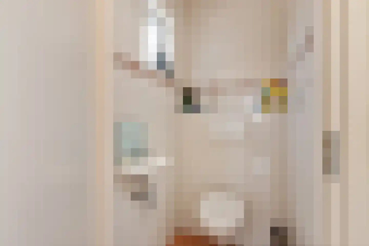 Snakke 9 Koudum thumbnail 18