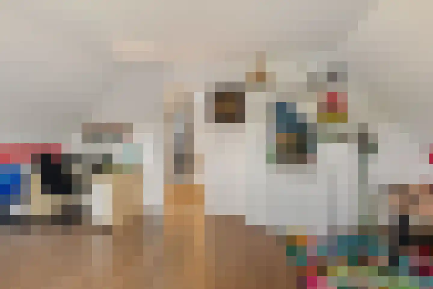 Snakke 9 Koudum thumbnail 25