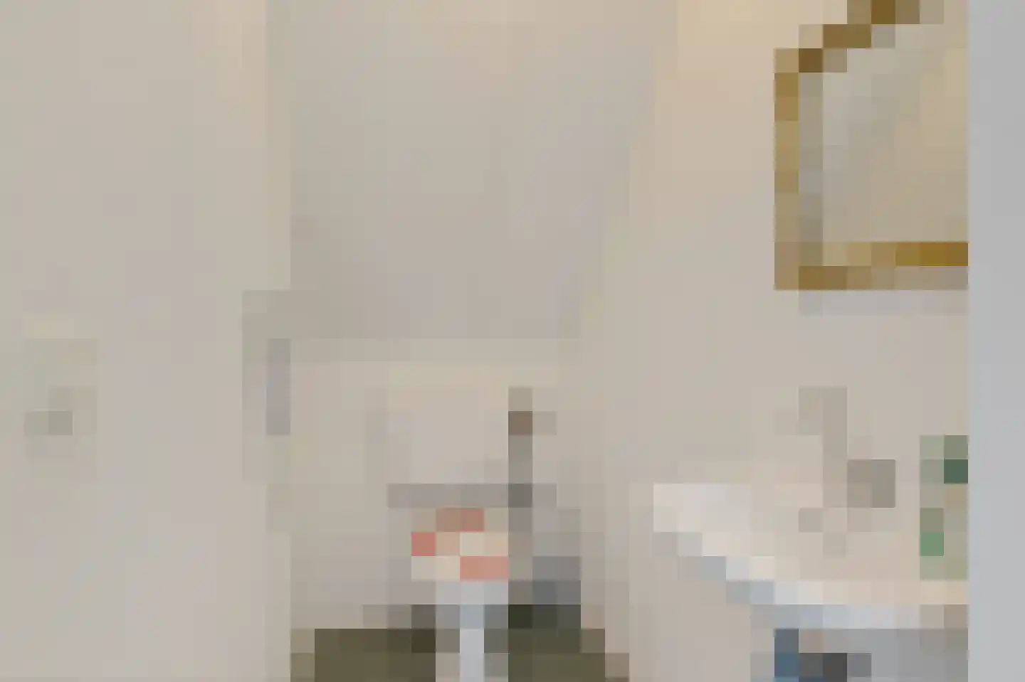 Snakke 9 Koudum thumbnail 27