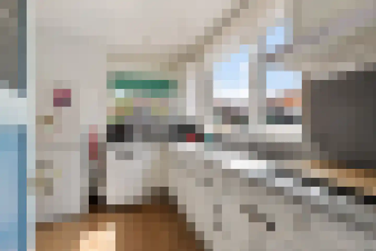 Snakke 9 Koudum thumbnail 4