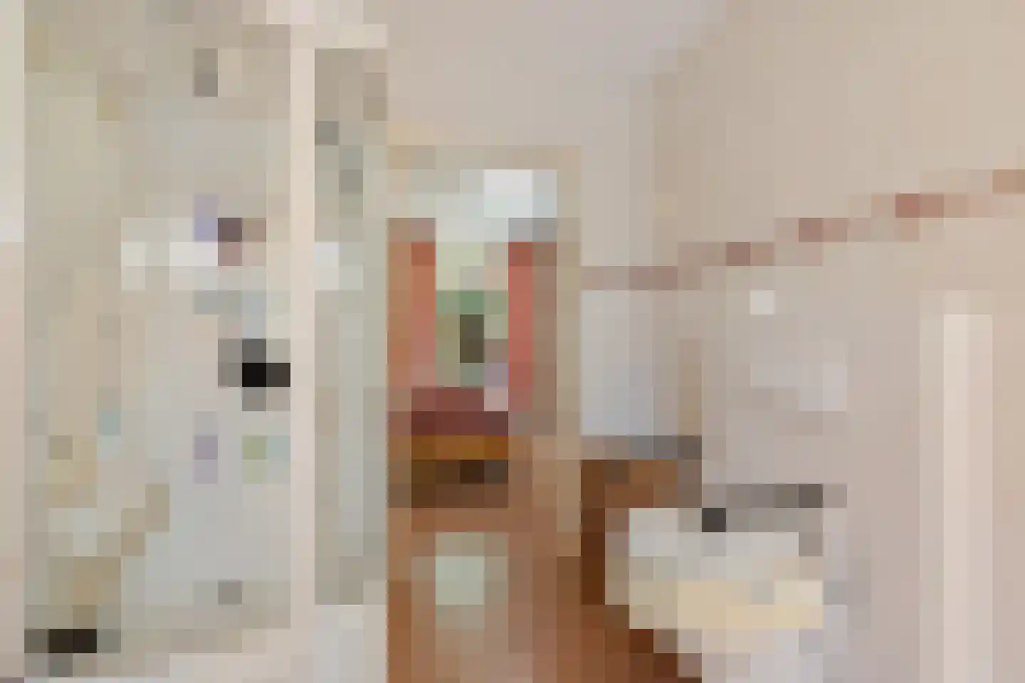 Snakke 9 Koudum thumbnail 5