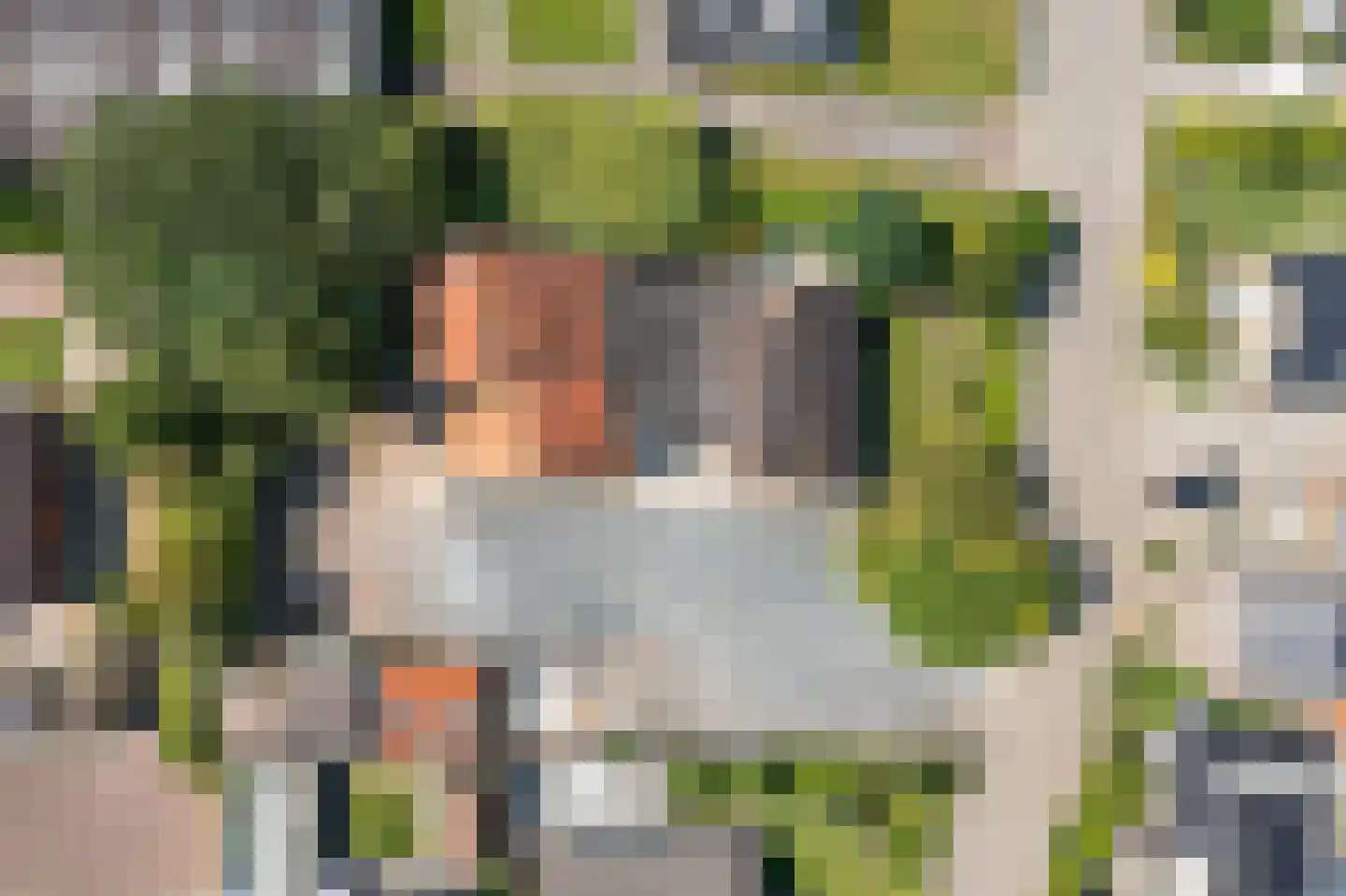 Snakke 9 Koudum thumbnail 8