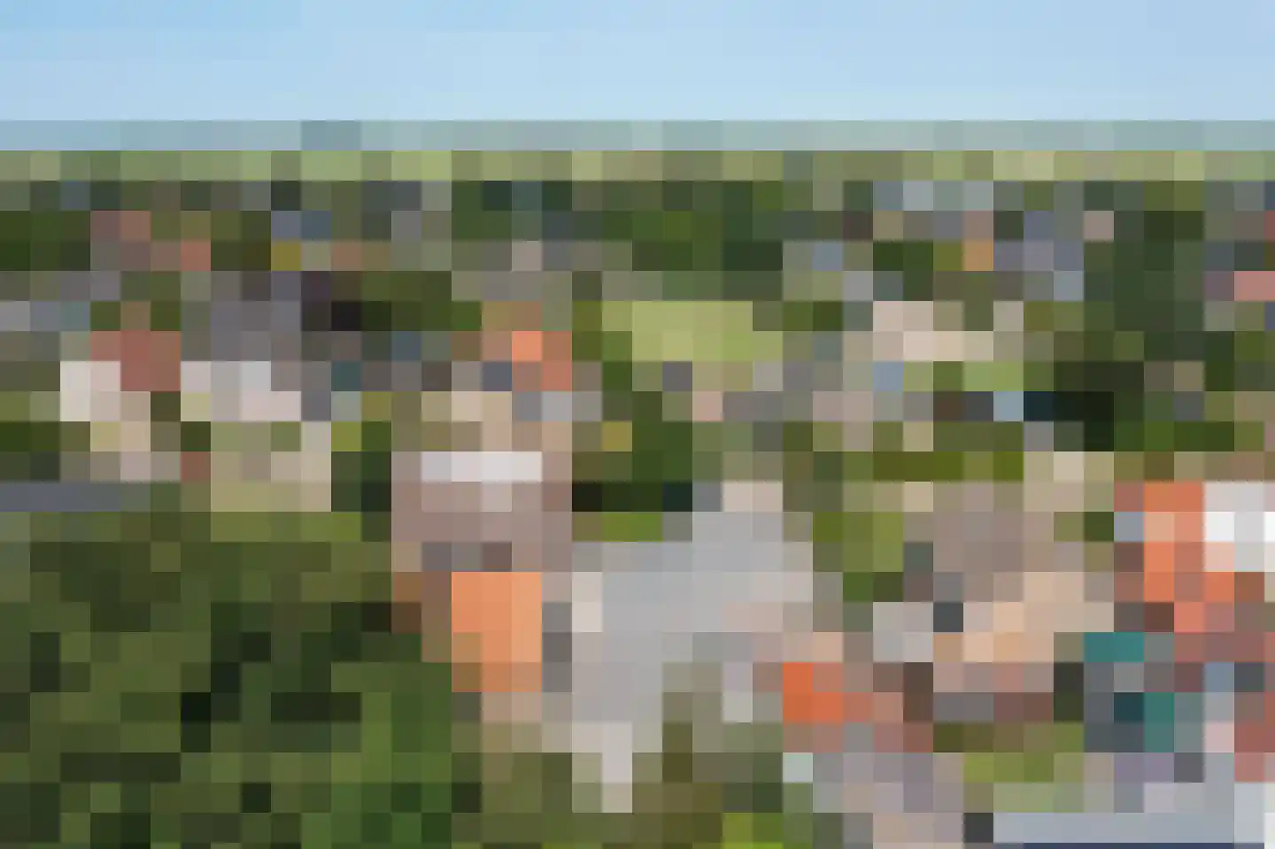 Snakke 9 Koudum thumbnail 9