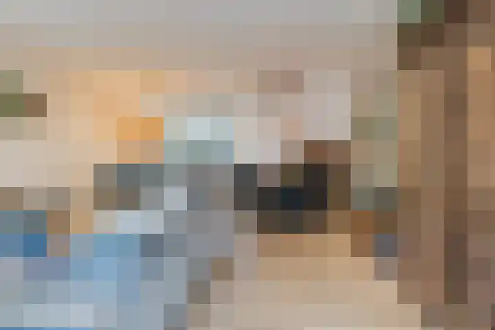 Snaphaan 11 Gilze thumbnail 10