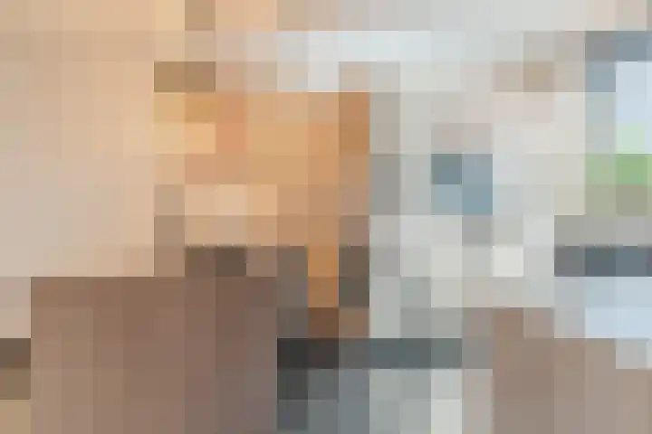 Snaphaan 11 Gilze thumbnail 14