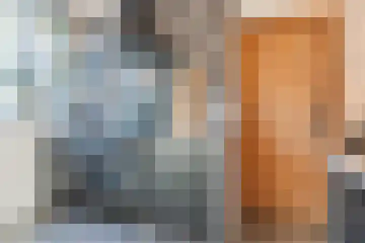 Snaphaan 11 Gilze thumbnail 15
