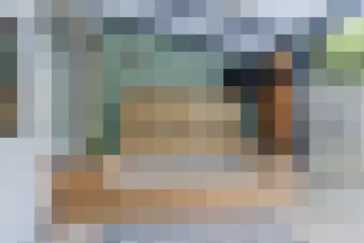 Snaphaan 11 Gilze thumbnail 19