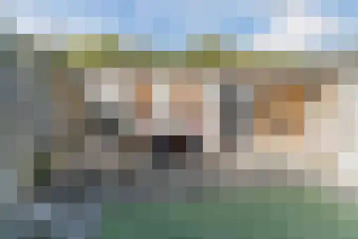 Snaphaan 11 Gilze thumbnail 20
