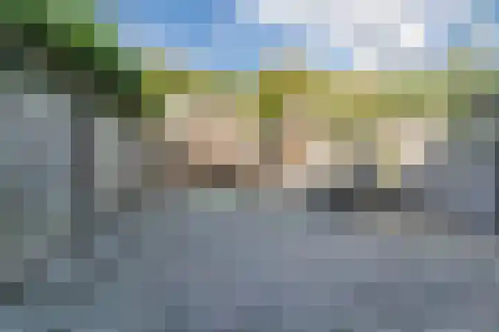 Snaphaan 11 Gilze thumbnail 21