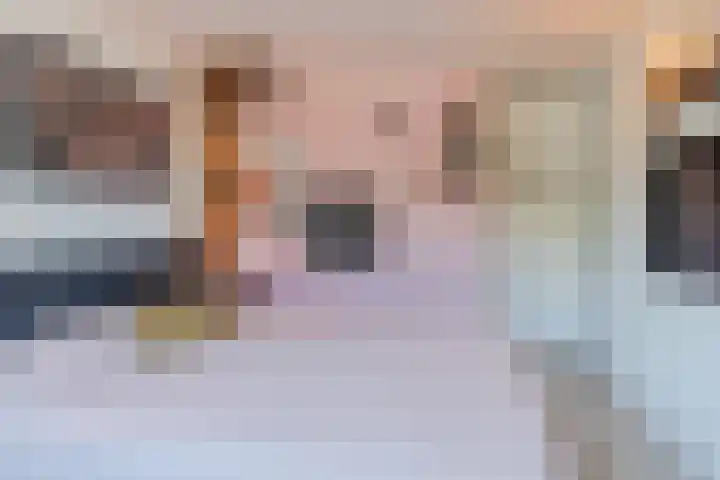 Snaphaan 11 Gilze thumbnail 22