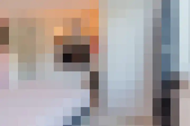Snaphaan 11 Gilze thumbnail 23