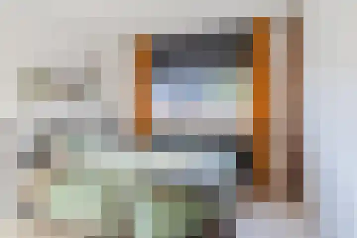 Snaphaan 11 Gilze thumbnail 24