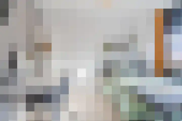 Snaphaan 11 Gilze thumbnail 25