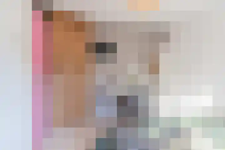 Snaphaan 11 Gilze thumbnail 26