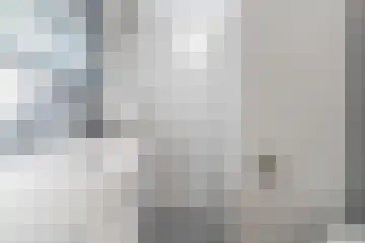 Snaphaan 11 Gilze thumbnail 27