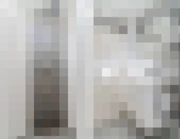 Snaphaan 11 Gilze thumbnail 28