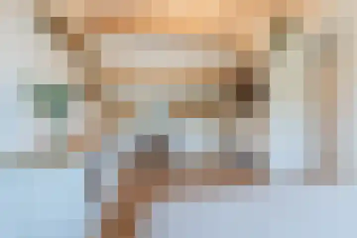 Snaphaan 11 Gilze thumbnail 31