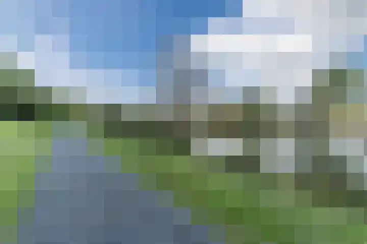 Snaphaan 11 Gilze thumbnail 33