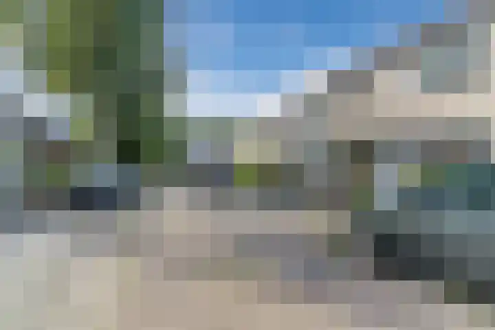 Snaphaan 11 Gilze thumbnail 34