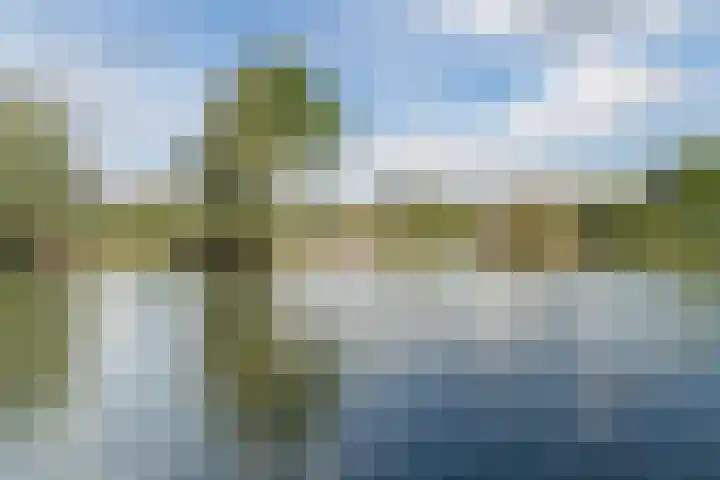 Snaphaan 11 Gilze thumbnail 35
