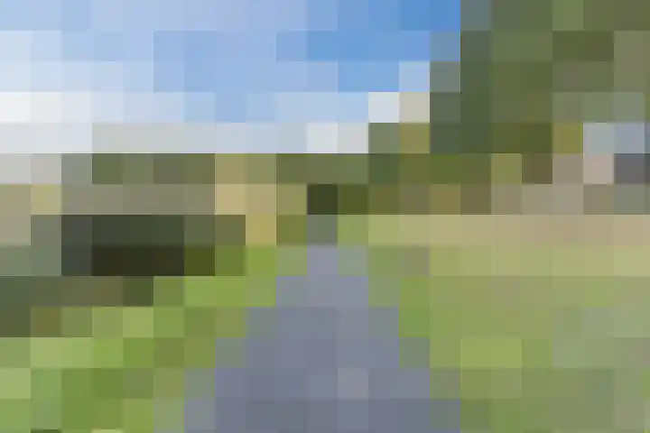 Snaphaan 11 Gilze thumbnail 36