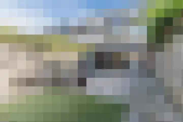 Snaphaan 11 Gilze thumbnail 4