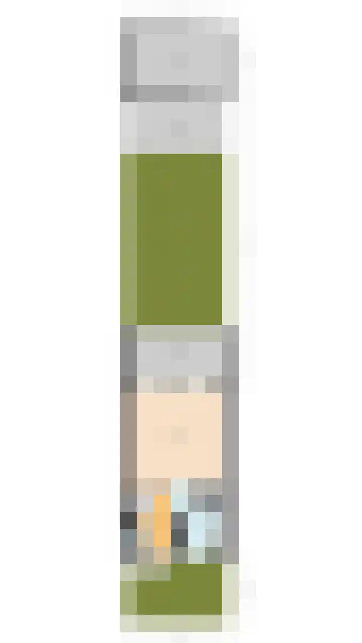 Snaphaan 11 Gilze thumbnail 40