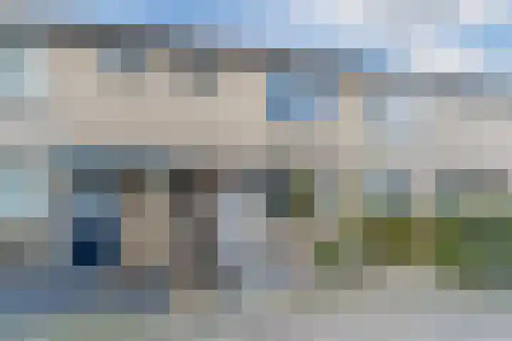 Snaphaan 11 Gilze thumbnail 5