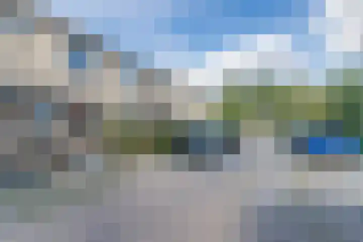 Snaphaan 11 Gilze thumbnail 6