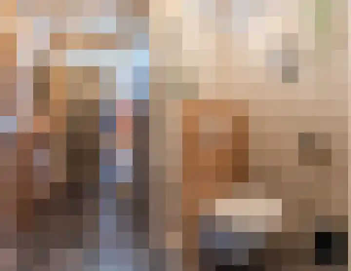 Snaphaan 11 Gilze thumbnail 8