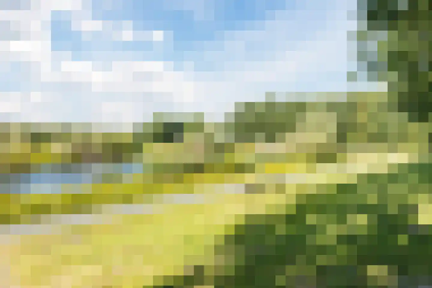 Snaphaan 12 Gilze thumbnail 36