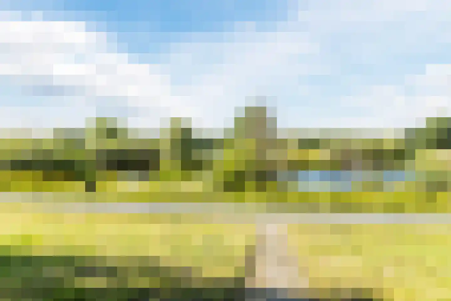 Snaphaan 12 Gilze thumbnail 37
