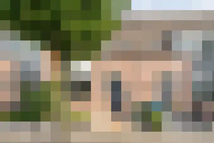 Snavel van Emekamp 10 Zwolle