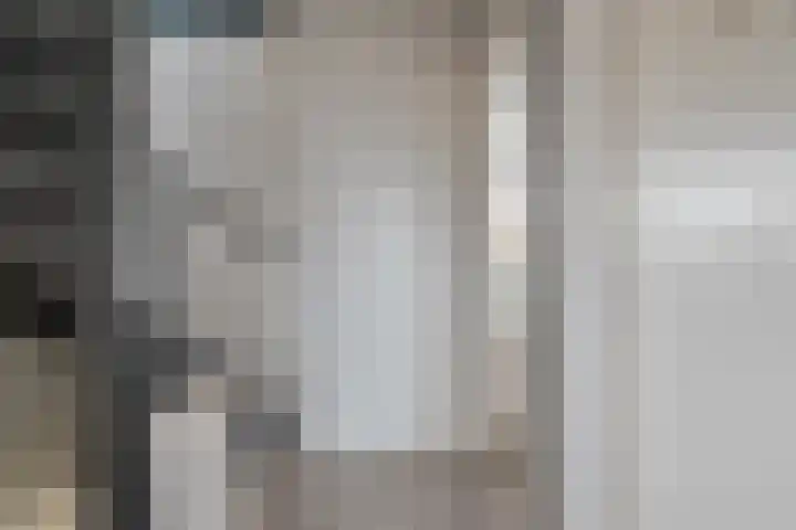 Snavel van Emekamp 10 Zwolle thumbnail 11
