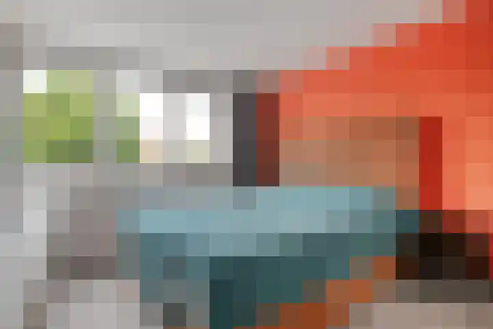 Snavel van Emekamp 10 Zwolle thumbnail 13
