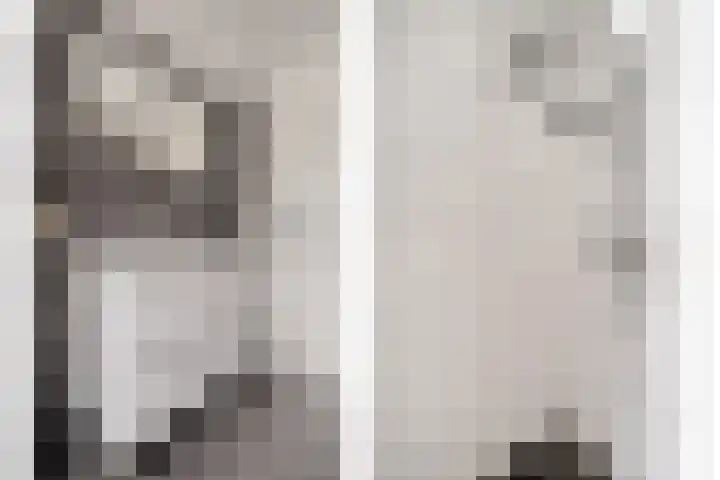 Snavel van Emekamp 10 Zwolle thumbnail 18