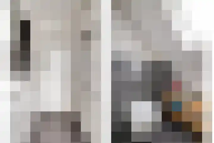 Snavel van Emekamp 10 Zwolle thumbnail 19